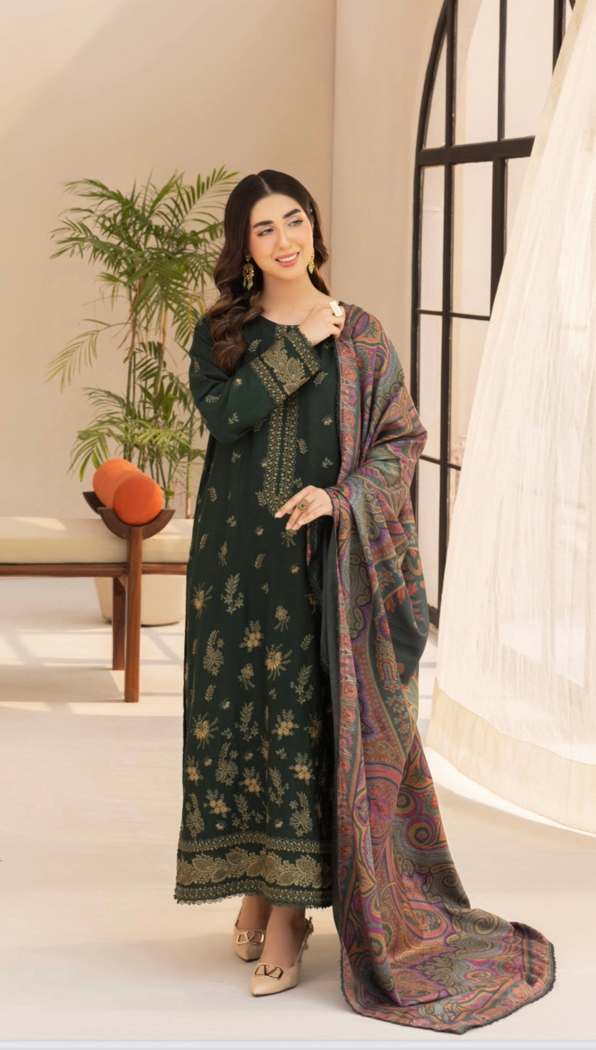 Winter Royalty - Green Dhanak Suit
