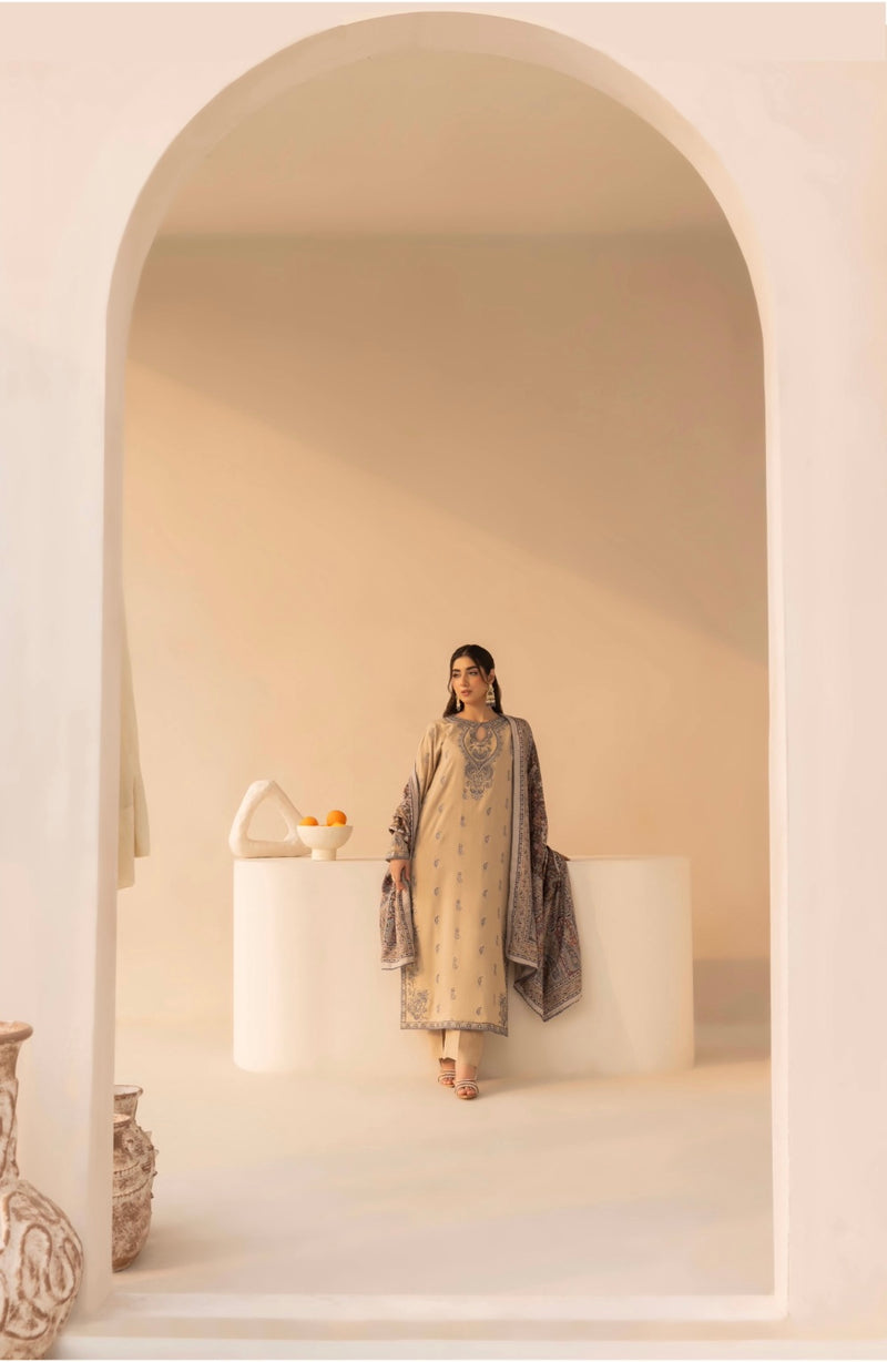 Beige Luxe Dhanak Suit