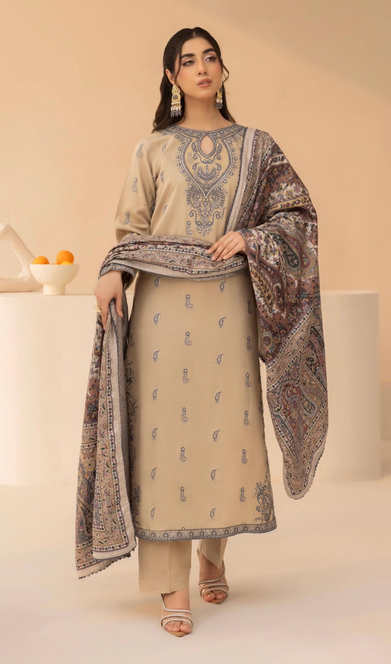 Beige Luxe Dhanak Suit