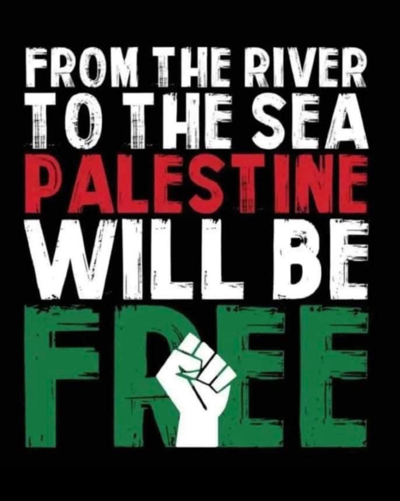 PALESTINE - LONG SLEEVE T-SHIRT