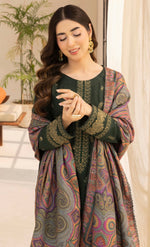 Winter Royalty - Green Dhanak Suit