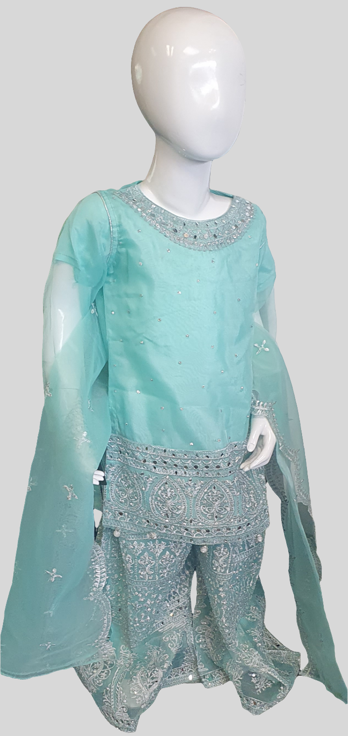 RUHI - MINT GREEN
